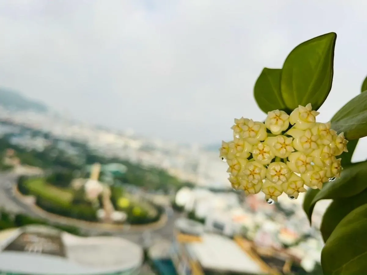 Thesong Apartment Vungtau -Riverlove Vung Tau 0*,  Vietnam
