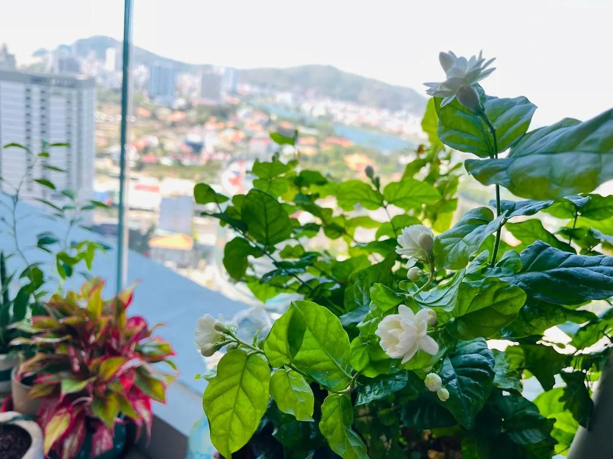 Thesong Apartment Vungtau -Riverlove Vung Tau